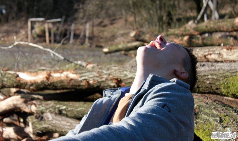 迈克尔加怀特的师傅是李小龙吗,李凯什么星座 - 星座运势