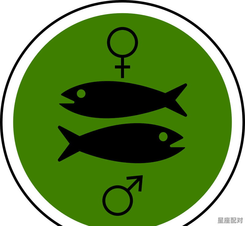 星座伴侣是什么意思,十二星座配对的事物是什么意思 星座伴侣是什么意思,十二星座配对的事物是什么意思 - 星座运势