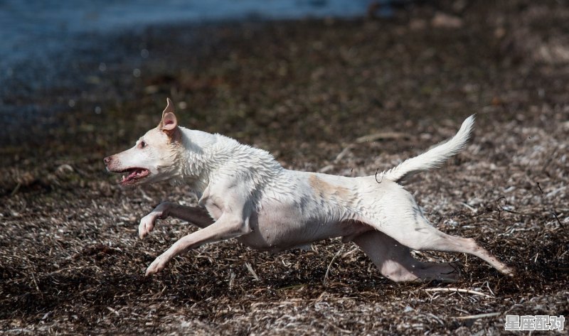 和好朋友的搞笑群名，梦到朋友脱单 - 星座运势