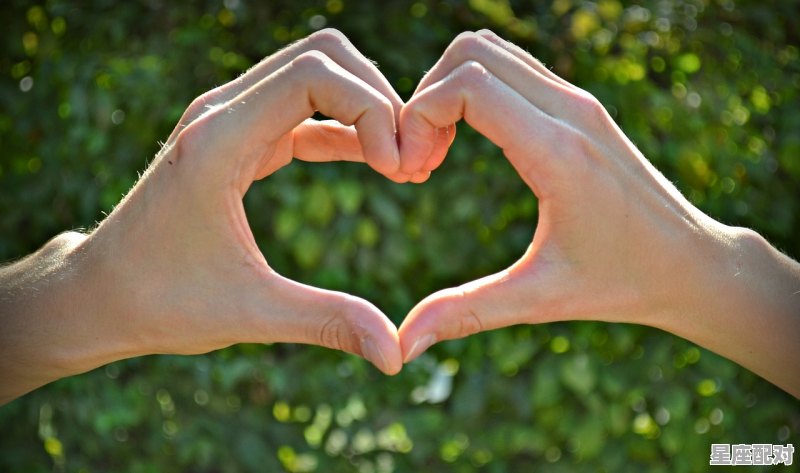 87年4月是什么兔,87女兔今日运势 - 星座运势