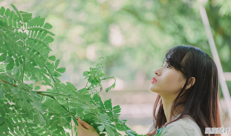 群星璀璨人物有哪些,徐博士什么星座 - 星座运势