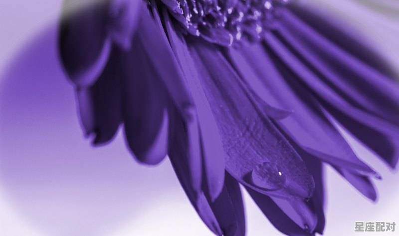 双鱼座性格是什么_双鱼座的人性格有多极端 双鱼座性格是什么_双鱼座的人性格有多极端 - 星座运势