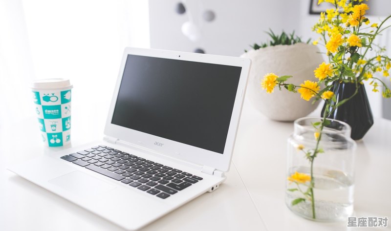 12星座的配偶标准,十二星座配对方式是什么样的 12星座的配偶标准,十二星座配对方式是什么样的 - 星座运势