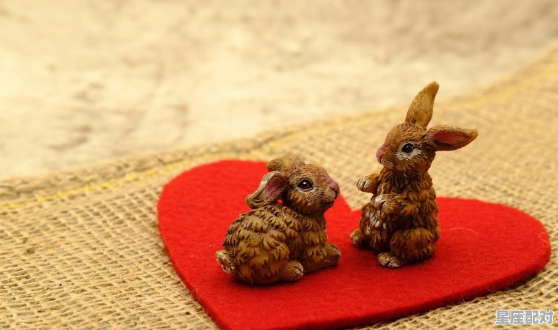 婚配谚语：兔见龙王泪交流，蛇虎婚配如刀措，自古白马怕青牛，都是什么涵义_属蛇的水瓶座和属兔金牛座 - 星座运势