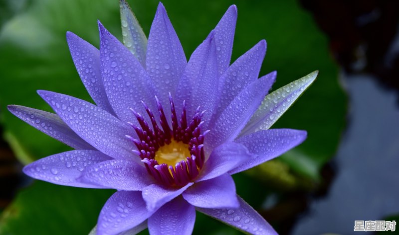 在有生的瞬间能遇到你竟花光所有运气是什么意,继续听明年今日运势 在有生的瞬间能遇到你竟花光所有运气是什么意,继续听明年今日运势 - 星座运势