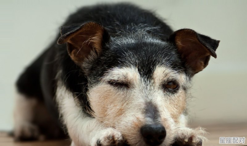 天蝎座男生性格特点,天蝎座男生性格和性格 天蝎座男生性格特点,天蝎座男生性格和性格 - 星座运势