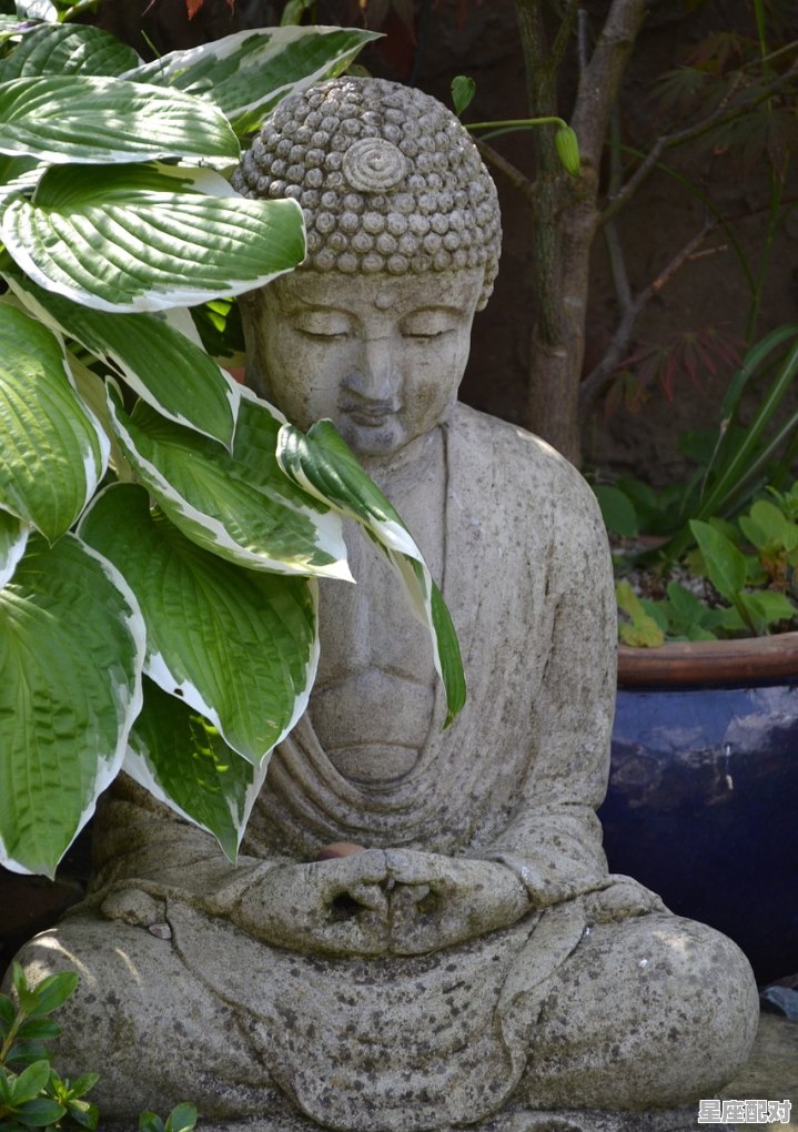 从哲学角度浅谈星座文化_佛系星座排行榜前十名 从哲学角度浅谈星座文化_佛系星座排行榜前十名 - 星座运势