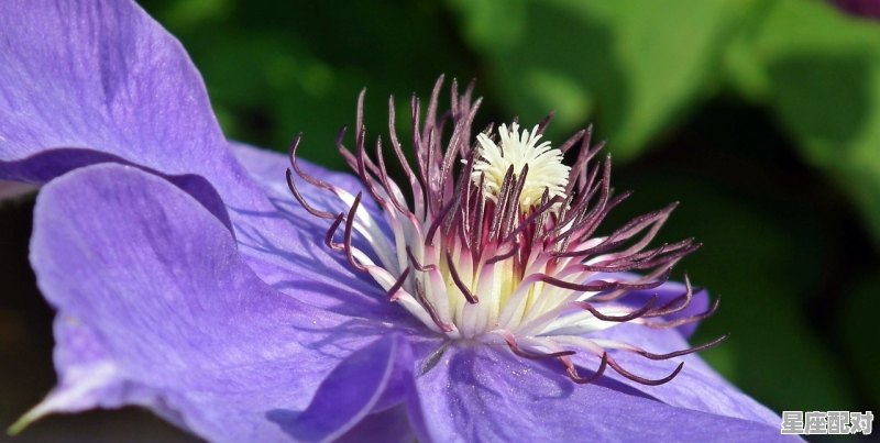 4月出生的都是什么星座,都是什么星座 4月出生的都是什么星座,都是什么星座 - 星座运势