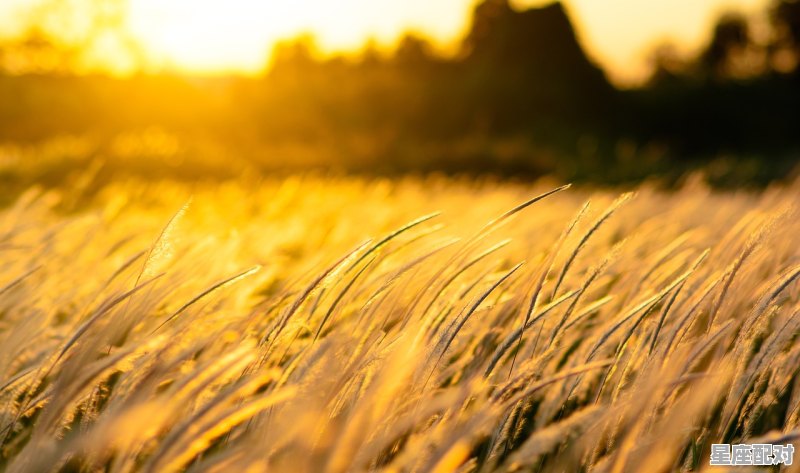 雨和肖组词_顶风冒雨什么意思 - 星座运势