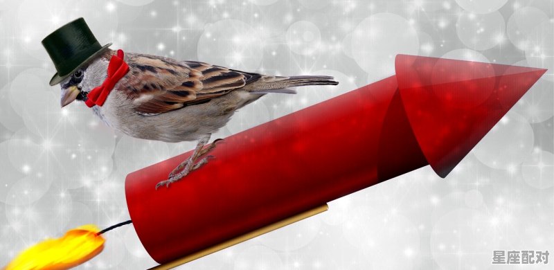 2022年正月第一个属鸡是哪天,属鸡今日财运势如何 - 星座运势