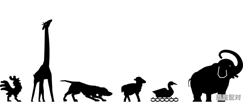 那个生肖带逛字猜成语_游人是什么动物 - 星座运势