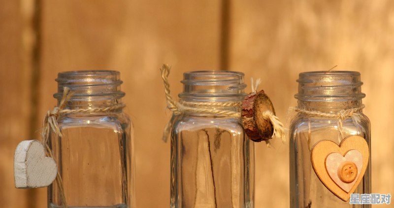 水瓶的附属星座,水瓶男匹配的星座配对是什么意思呀 - 星座运势