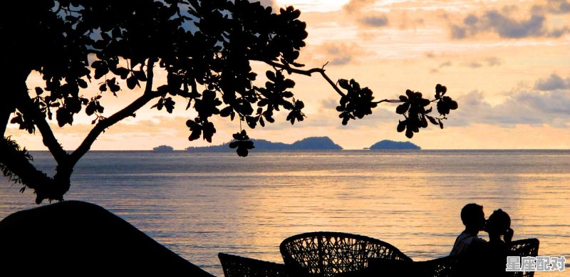 患难夫妻不离不弃歇后语十二生肖那个比较合_什么生肖靠不住 - 星座运势