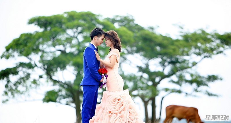 你认为结婚为什么要拍婚纱照,可以不拍吗,梦到别人拍婚纱照 你认为结婚为什么要拍婚纱照,可以不拍吗,梦到别人拍婚纱照 - 星座运势