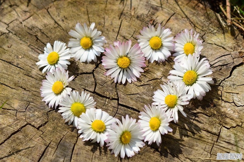 12星座的形状和名字,什么象系星座 12星座的形状和名字,什么象系星座 - 星座运势