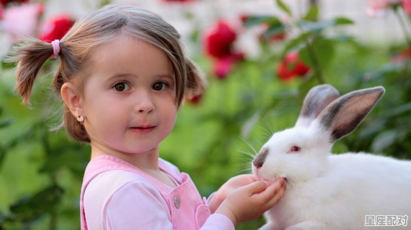 两只兔子代表什么_兔子结尾怎么才能抒发对他的喜爱之情 - 星座运势