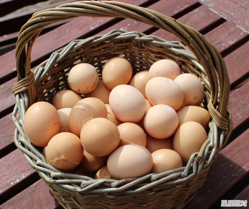 回娘家可以拿宰好的鸡吗,关鸡习俗 回娘家可以拿宰好的鸡吗,关鸡习俗 - 星座运势