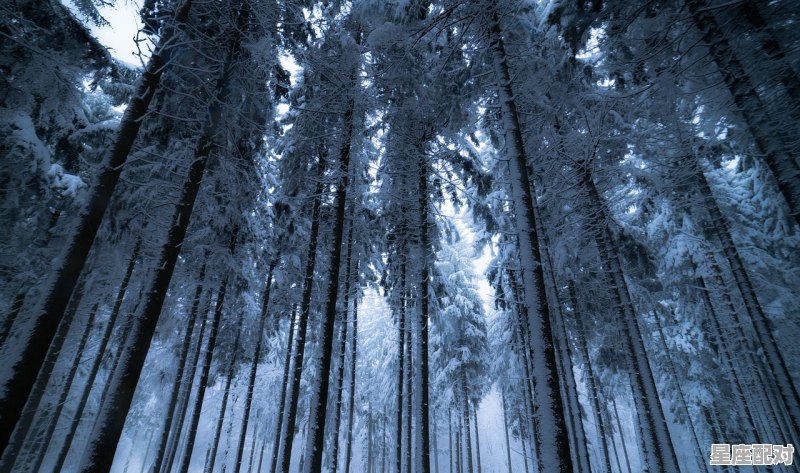 什么叫打墓_渭源县的一种习俗作文450字 - 星座运势