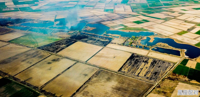 2021年12月10日什么属相当值，属马今日运势事业 - 星座运势