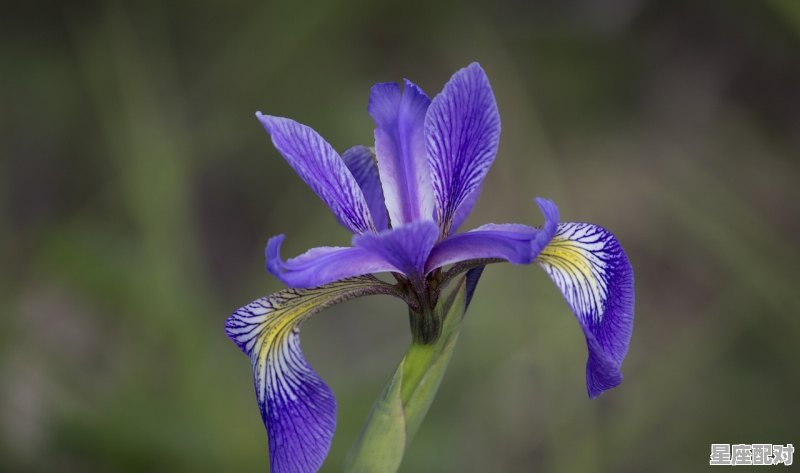 巨蟹座性格脾气特点和缺点，巨蝎座的性格 - 星座运势