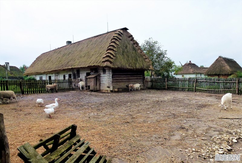 盖房子浇顶是什么意思_农村建房零下几度不能浇顶 - 星座运势