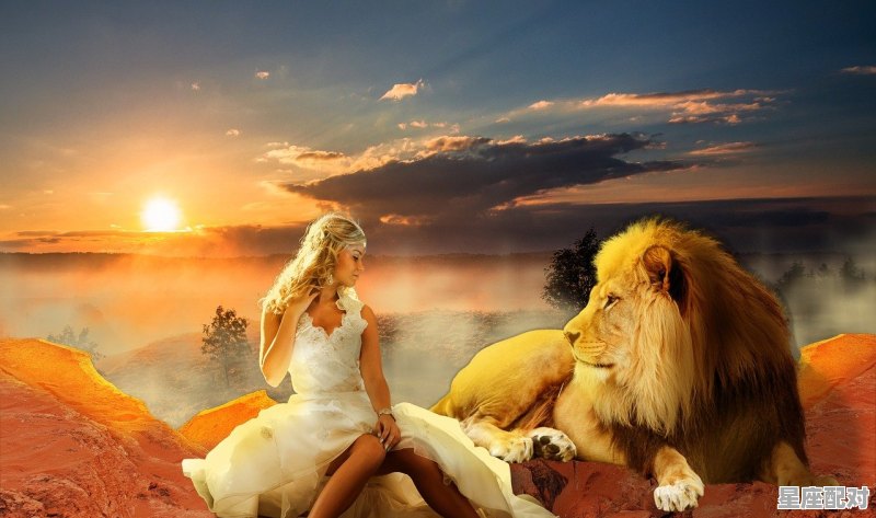 十二生肖中哪个生肖出的古代帝王最多_属虎的成功人士有哪些 - 星座运势