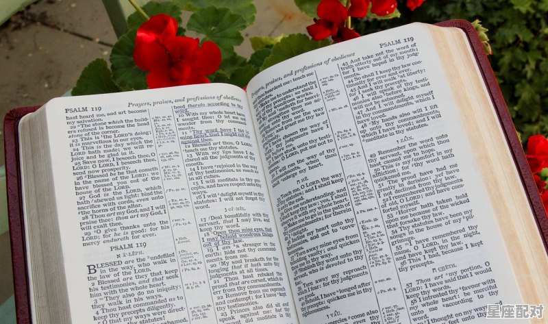 世上最大的星座是什么_02年5月初6是阳历 - 星座运势