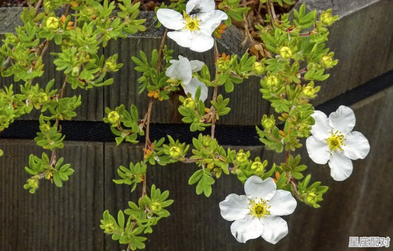 为什么总会想起别人欺负你生气的事_梦到自己被别人欺负 - 星座运势