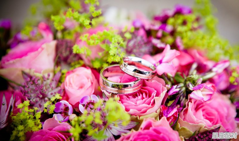 梦到参加别人的婚礼,梦到参加别人的婚礼 - 星座运势