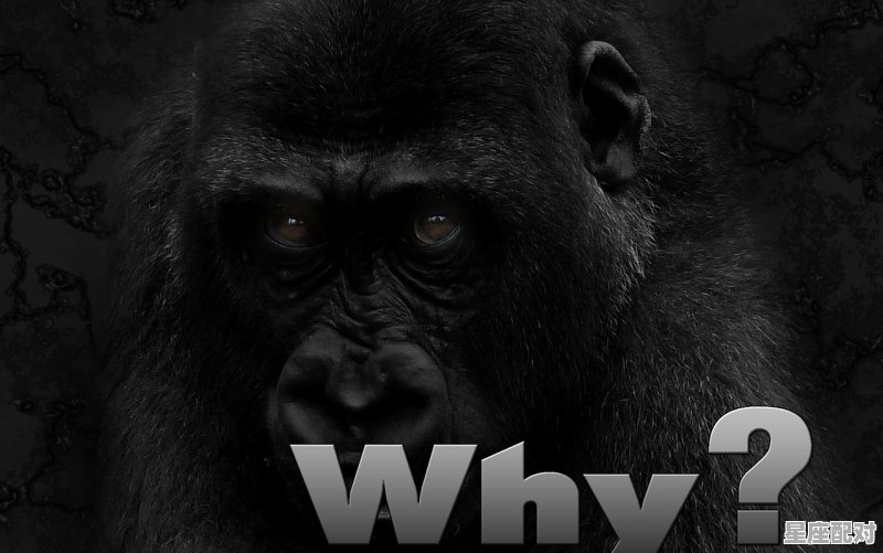 为什么摩羯座可以当领头羊_摩羯为什么能除掉天蝎 - 星座运势