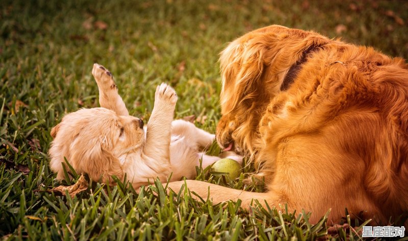 过小年的十大禁忌,小年习俗你知道吗 过小年的十大禁忌,小年习俗你知道吗 - 星座运势
