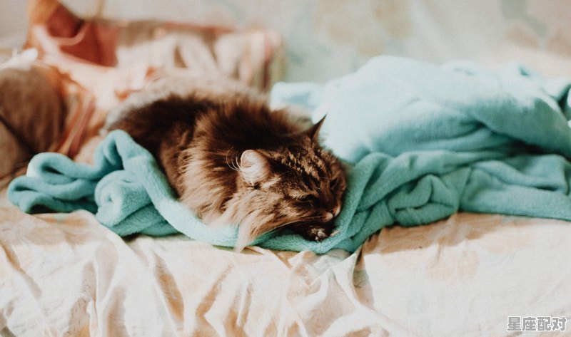 我喜欢抱着我老公睡，可我老公不愿意，我想问一下，是喜欢抱老公睡的人多呢，还是不抱的人多呢，风情习俗千奇百怪 - 星座运势
