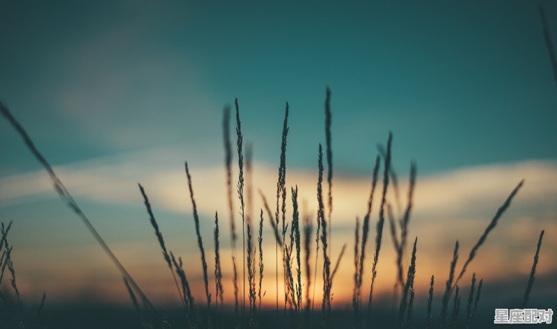 为啥摩羯气场很强,什么星座气场 - 星座运势