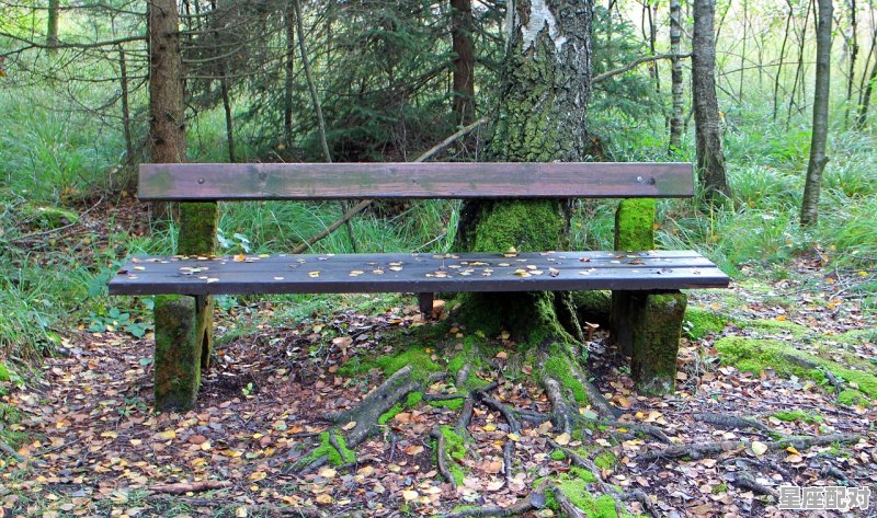 森林着火温度有多少度，梦到森林着火 - 星座运势