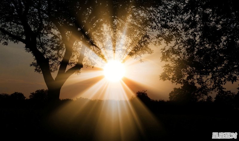 每天晚上都做梦，然后就会在四点到五点醒来，大部分都是噩梦,梦到惊醒 - 星座运势