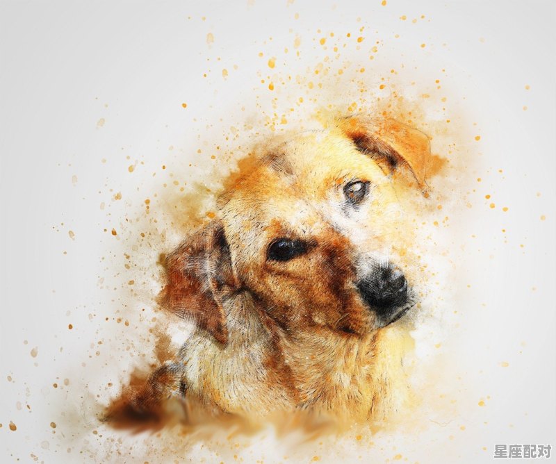 今日虎人运势2018,今日虎人运势2018 今日虎人运势2018,今日虎人运势2018 - 星座运势