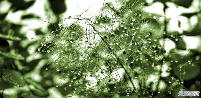 一物降一物谁占上风的星座_唯一降得住天蝎的星座 - 星座运势