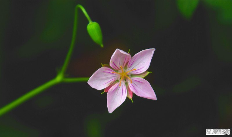 天蝎男能驾驭的星座男，天蝎座男生吃定哪个星座女生,天蝎座契合的星座配对是什么呢男生 - 星座运势