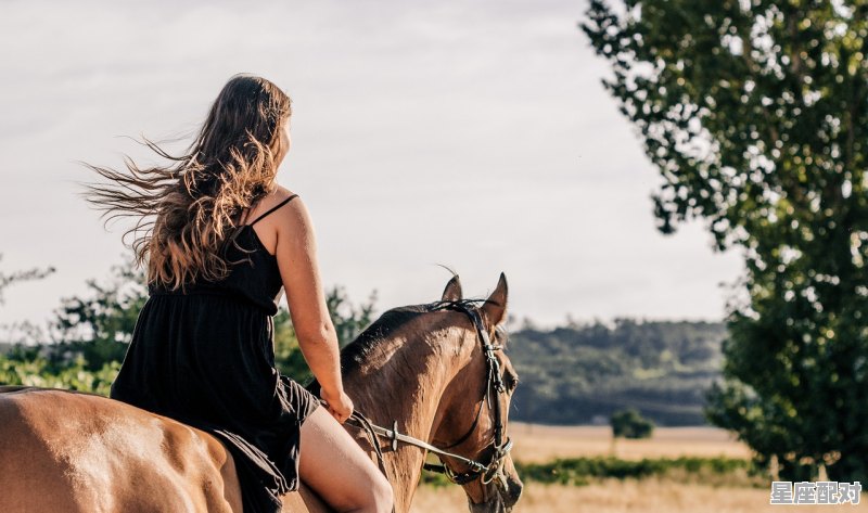 关于马的吉祥物,马儿今日感情运势如何 - 星座运势