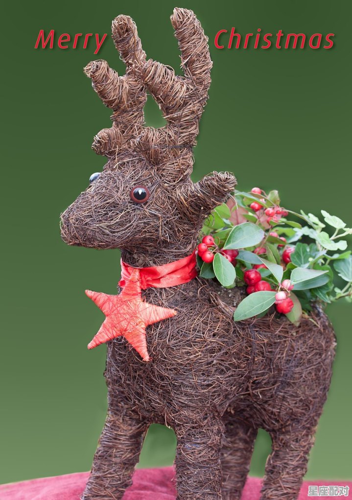 月落打一动物_12个时辰的属相怎么排 - 星座运势