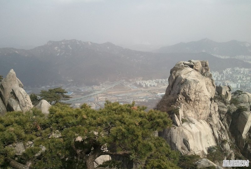 写文章就修真的小说，梦到自己修仙 - 星座运势