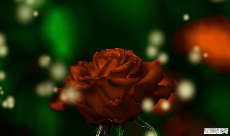 水瓶的灵魂伴侣为什么是白羊,星座配对之白羊座和水瓶座合适吗 水瓶的灵魂伴侣为什么是白羊,星座配对之白羊座和水瓶座合适吗 - 星座运势