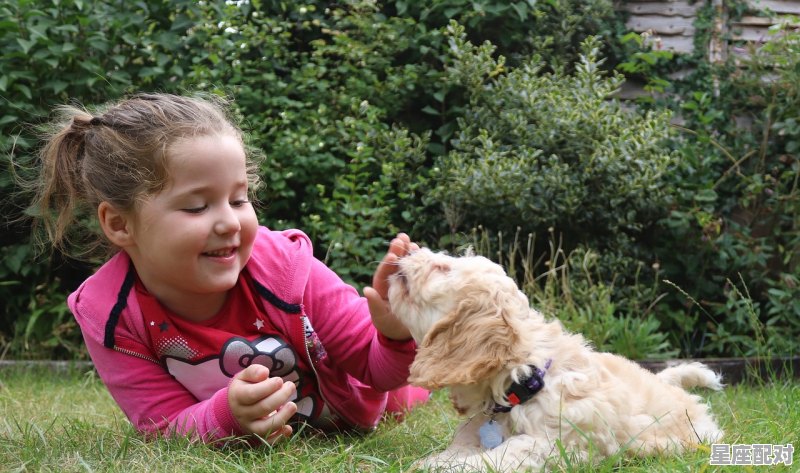 羊喜欢顶人的原因_羊为什么无缘无故顶人 羊喜欢顶人的原因_羊为什么无缘无故顶人 - 星座运势