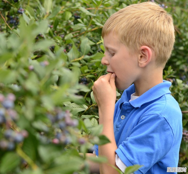 王君平还在本山传媒吗,香秀什么星座 - 星座运势