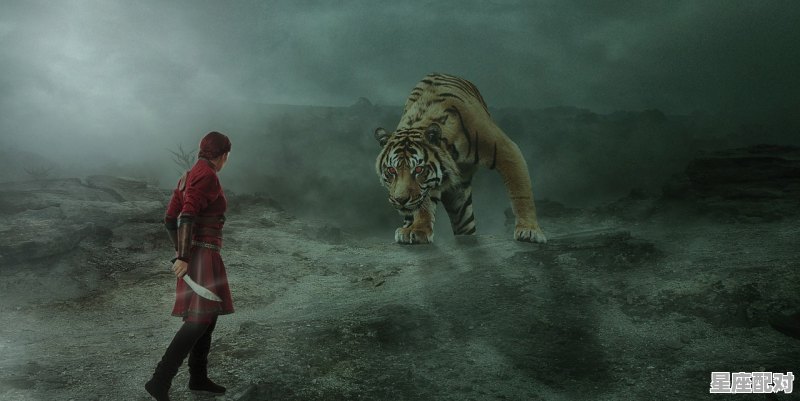 历史上属虎得名人有哪些_虎的名人 - 星座运势