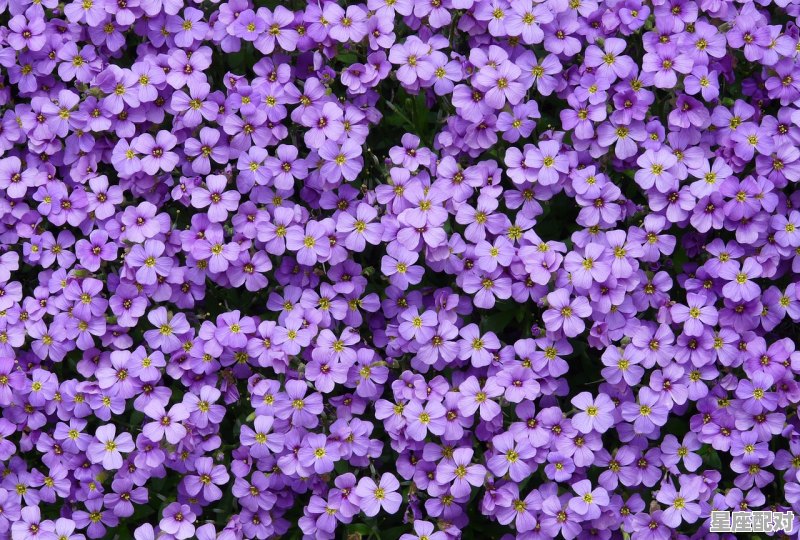 十二星座攻击力和防御力排名_12星座的排行榜 十二星座攻击力和防御力排名_12星座的排行榜 - 星座运势