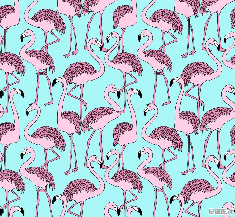 家无小事是什么生肖,家无小事是什么生肖 - 星座运势