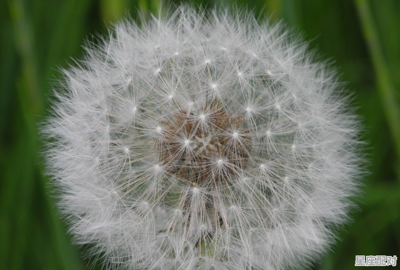 灯光诱鱼的正确方法_白色的灯为什么招虫子 - 星座运势