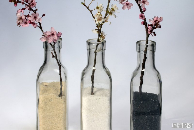 12星座武魂排名等级,星座都有什么等级 - 星座运势