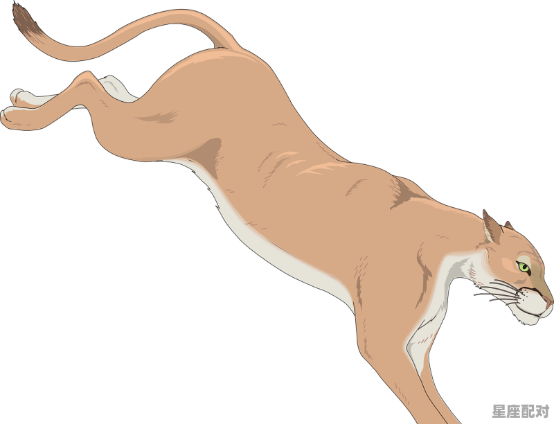 狮子猫尾巴特征,狮子座尾巴性格 - 星座运势
